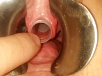 Troie che si leccano a vicenda mentre film porno con vecchi porci condividono un cazzo